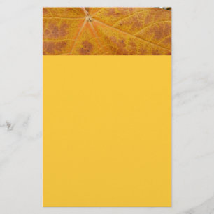 Papeterie Feuille de Érable Jaune Automne Abstrait Nature