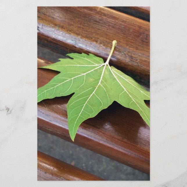 Papeterie feuille tombée (Devant)