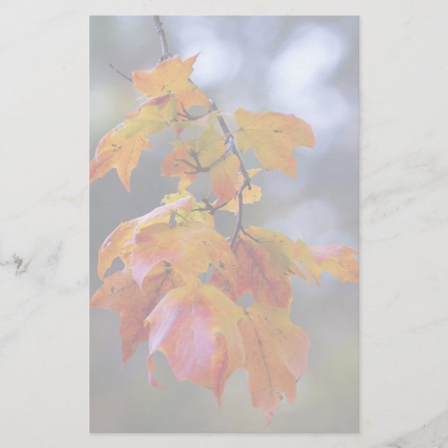 Papeterie Feuilles d'automne (Devant)