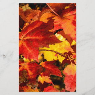 Papeterie Feuilles d'automne colorées, feuille d'érable roug