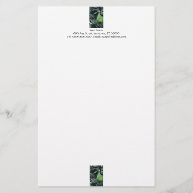 Papeterie Feuilles sculpturales (Devant)