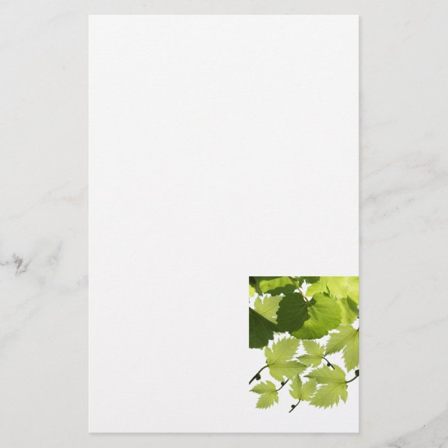 Papeterie Feuilles Vertes de Vigne de Raisin (Devant)