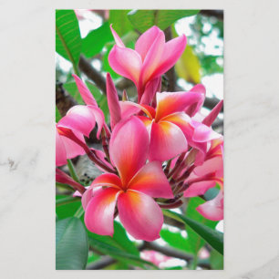 Papeterie Fleur de Frangipani (Plumeria)