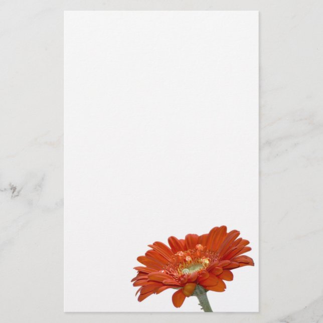 Papeterie Fleur de Gerbera de marguerite orange (Devant)