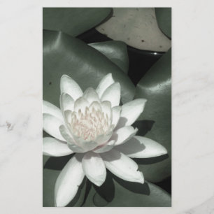 Papeterie fleur de laine d'eau rose clair