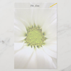 Papeterie fleur de marguerite blanche pure