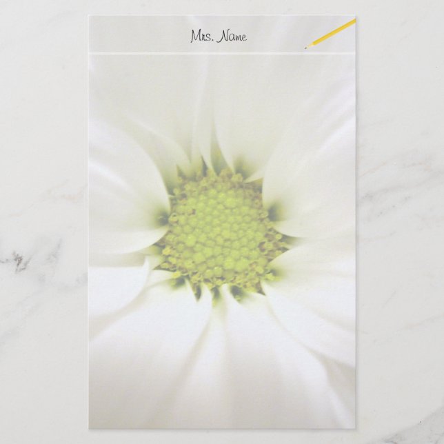 Papeterie fleur de marguerite blanche pure (Devant)