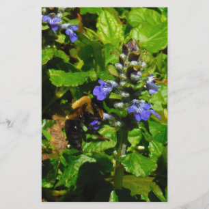 Papeterie Fleur violette et abeille boursouflante