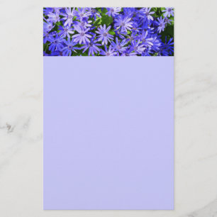 Papeterie Fleurs bleues à la marguerite Nature Photographie