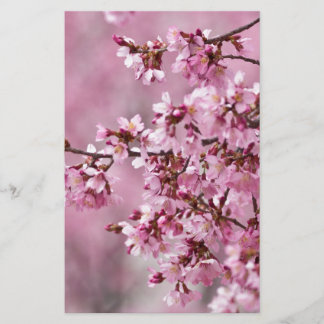 Papeterie Fleurs de Cerisier Sakura Pastel Rose Calquees