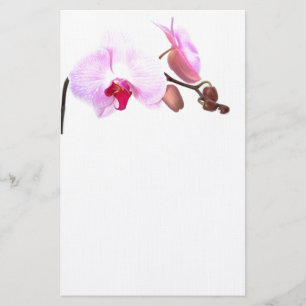 Papeterie Fleurs d'orchidées aziza