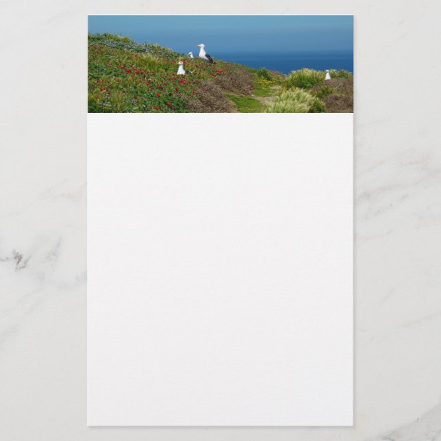 Papeterie Fleurs et mouettes sur l'île d'Anacapa (Devant)