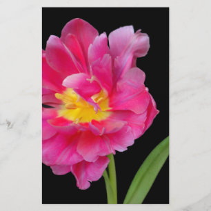 Papeterie Fleurs Fête de Mariage Félicitations Amour