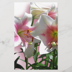 Papeterie Fleurs Fleurs Fleurs Printemps Jardin Amour Douche