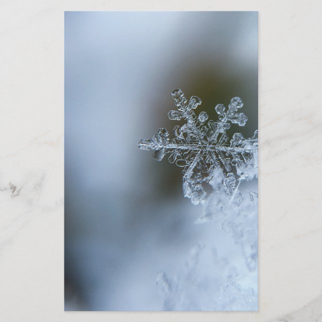 Papeterie Flocon de neige Icy (Devant)
