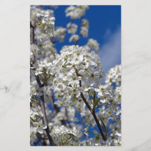 Papeterie Floraisons de poirier de Bradford