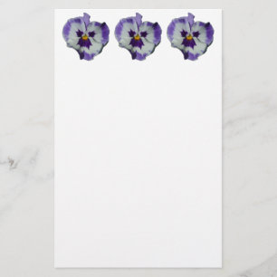 Papeterie Floral Purple and White Pansies