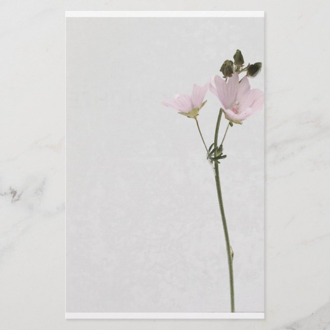 Papeterie flower paver (Devant)