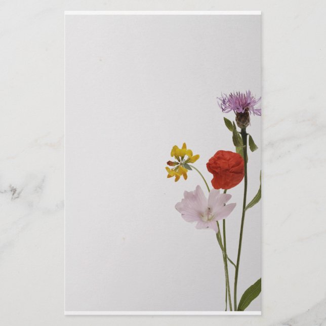 Papeterie Flowers Stationery colorful (Devant)