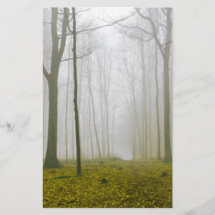 Papeterie Forêt d'Imaginaires avec brouillard et feuillage j