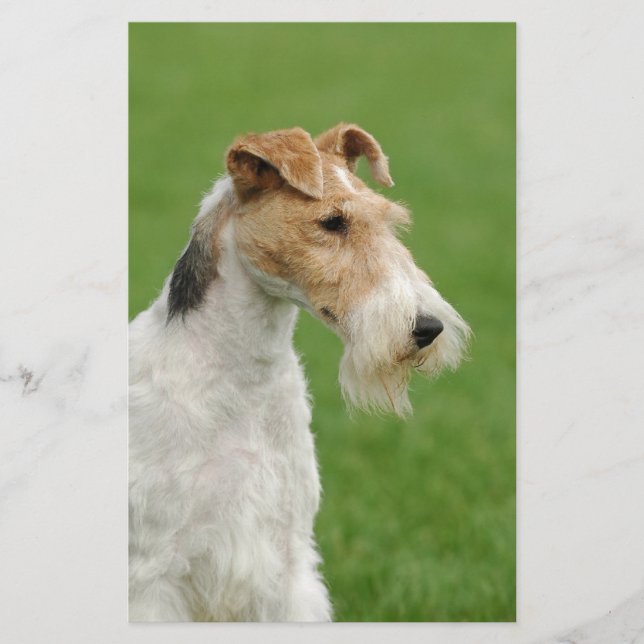 Papeterie Fox Terrier (Devant)