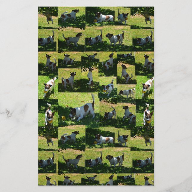Papeterie Fox Terrier Photo Collage, (Devant)