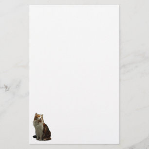 Papeterie Fractale de chat de calicot