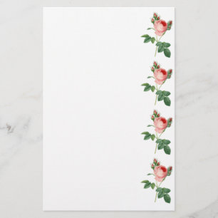 Papeterie Frontière botanique vintage d'illustration de rose
