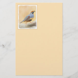 Papeterie Gambrel's Quail Painting Original Bird Art