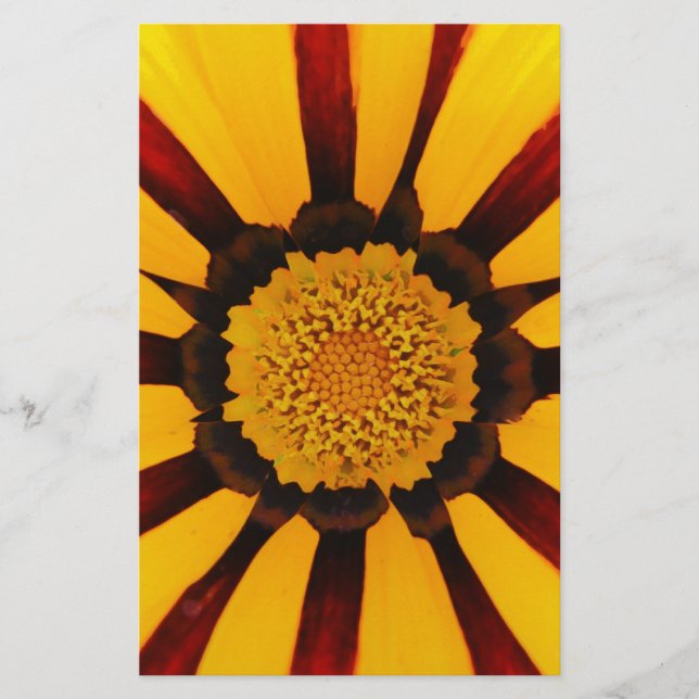 PAPETERIE GAZANIA (Devant)