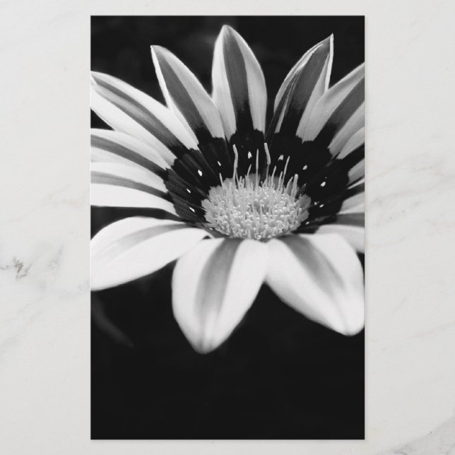 Papeterie Gazania (Devant)