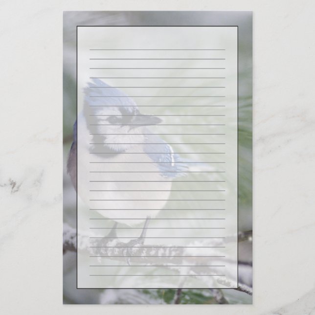 Papeterie Geai bleu, Cyanocitta cristata (Devant)