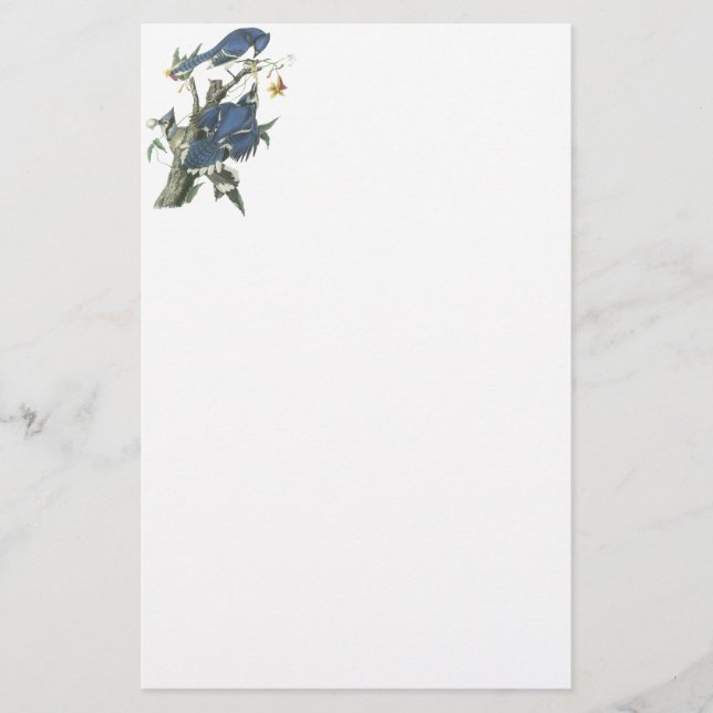 Papeterie Geai bleu, John Audubon (Devant)