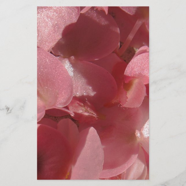 Papeterie Géranium rose : presque solide Rose clair (Devant)