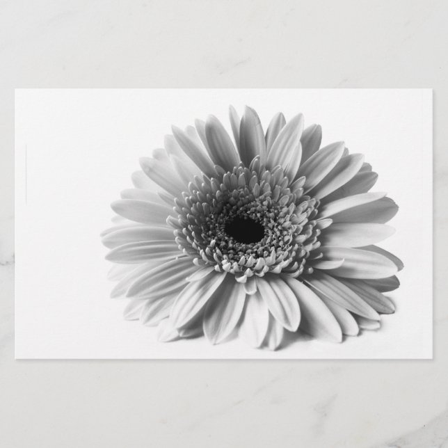 Papeterie Gerbera (Devant)