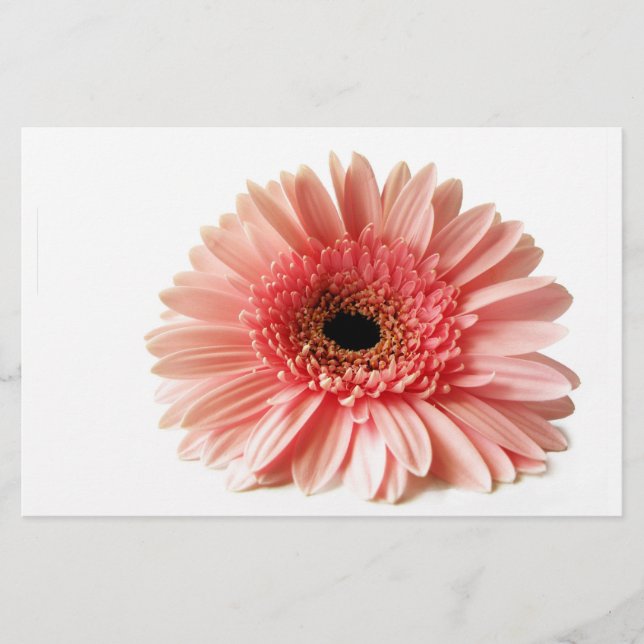 Papeterie Gerbera (Devant)