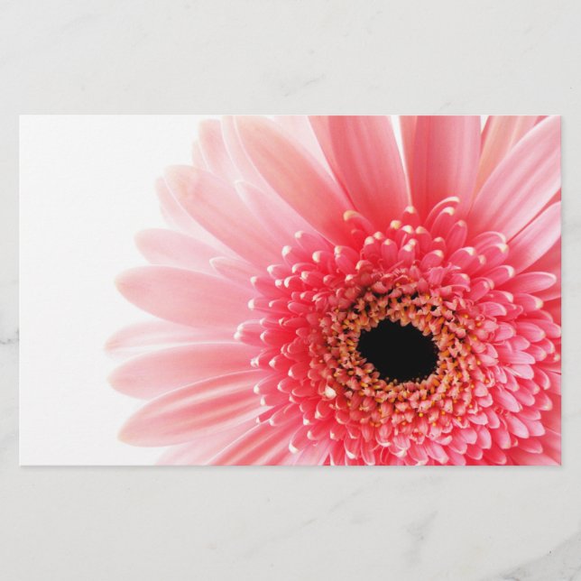 Papeterie Gerbera marguerite (Devant)