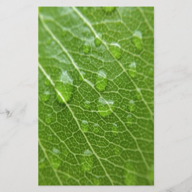 Papeterie Green leaf (Devant)