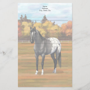 Papeterie Gris Grulla Appaloosa Quartier Horse Stallion