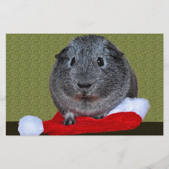 Papeterie Guinea Pig Christmas (Devant)