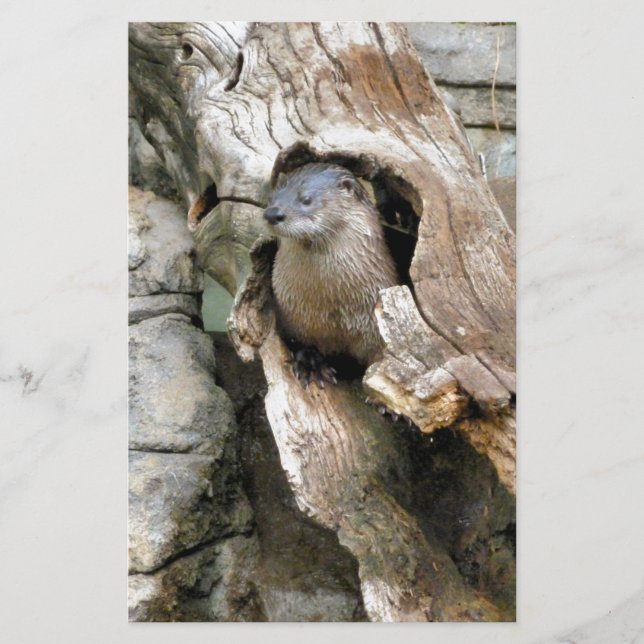 Papeterie Harry Otter (Devant)