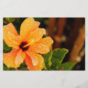 Papeterie Hibiscus