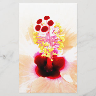 Papeterie Hibiscus rose