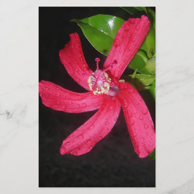 Papeterie hibiscus rouge (Devant)