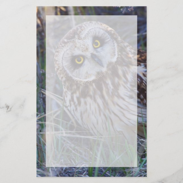 Papeterie Hibou des marais (Devant)