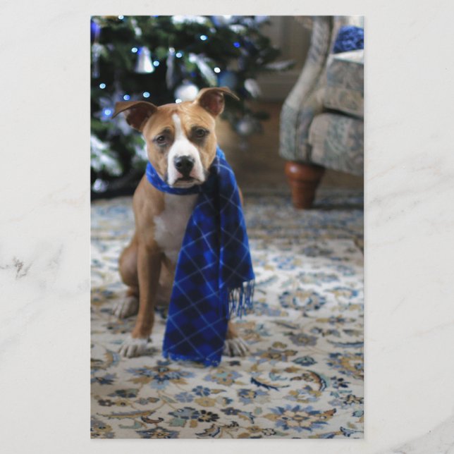 Papeterie Holiday Cheer from Pit Bull Rescue Dog (Devant)
