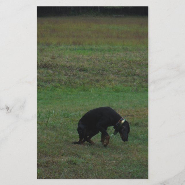 Papeterie Hound dog giving up the chase (Devant)