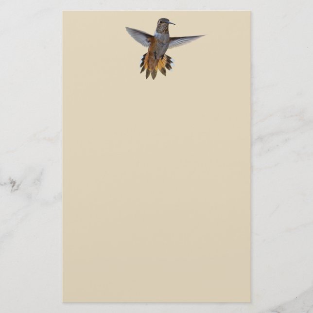 PAPETERIE HUMMINGBIRD (Devant)