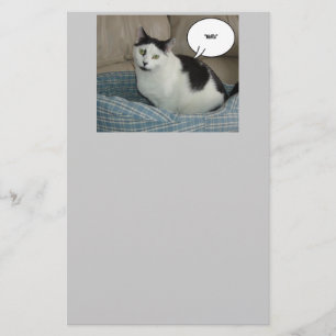 Papeterie Humour Holla Cat