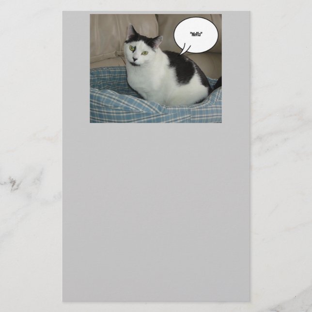 Papeterie Humour Holla Cat (Devant)